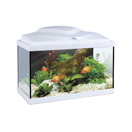 [44-0008KE] Aquarium 20 LED blanc CIANO - Entretien facile - 17L