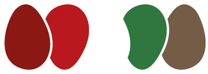 Palette de couleurs Noël traditionnel : rouge, blanc, vert et brun