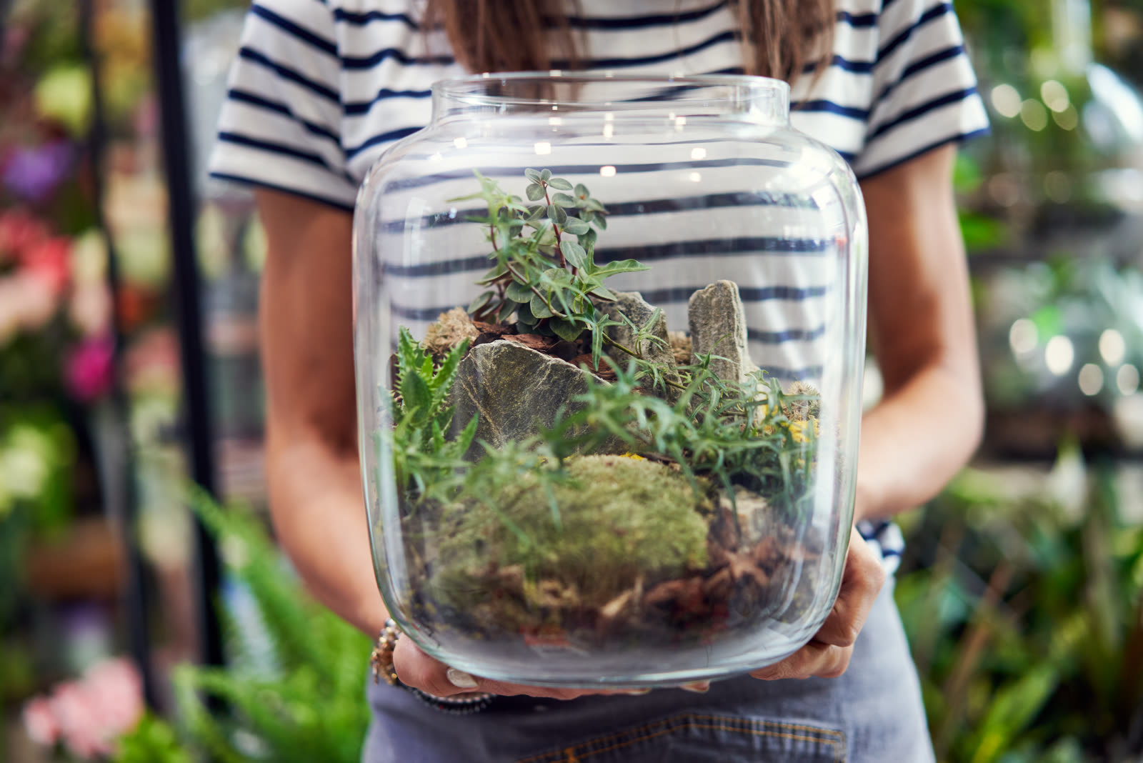 Terrarium en verre avec mousses et petites plantes tenu à deux mains
