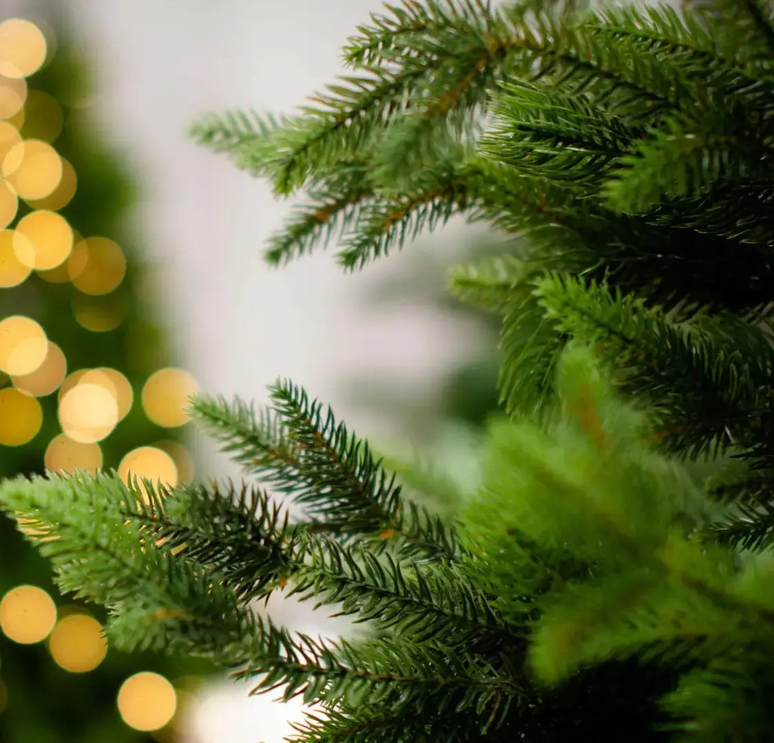 Sapin artificiel illuminé dans un salon
