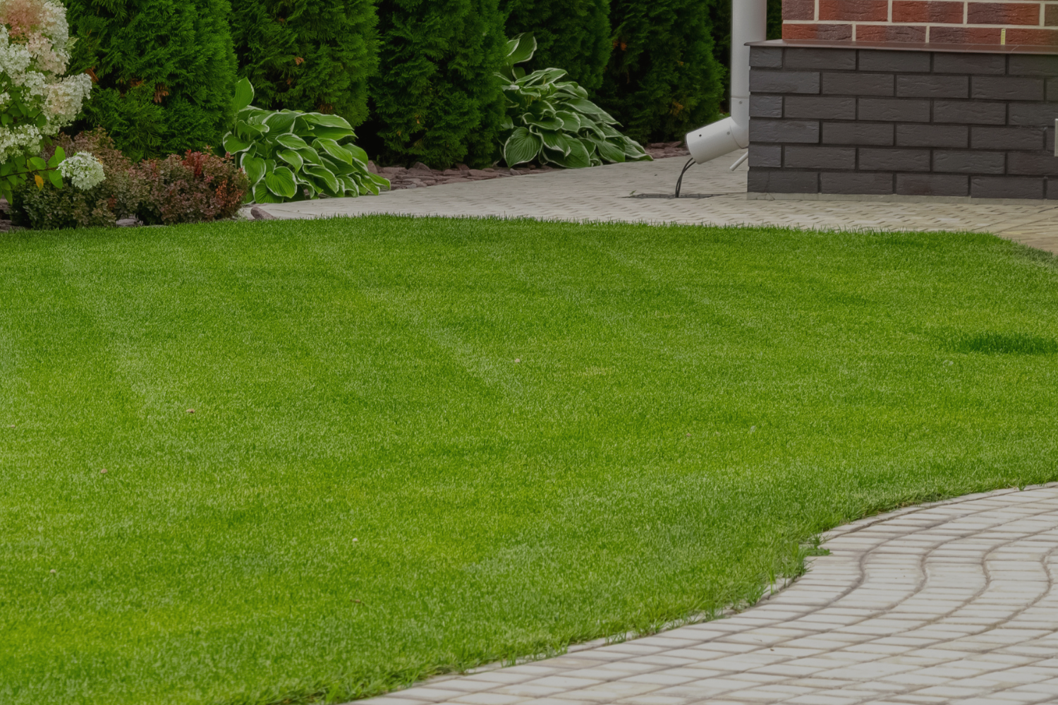 Jardin Et Extrieur I VillaVerde
