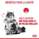 Variant image Croquettes Chat Adulte Poil Terne/Peau Sensible ROYAL CANIN - 2kg - a/1/3/9/a13993941e1ce1cf7c9f05a09bfd73acb0df8974_3182550721738__3_.jpg
