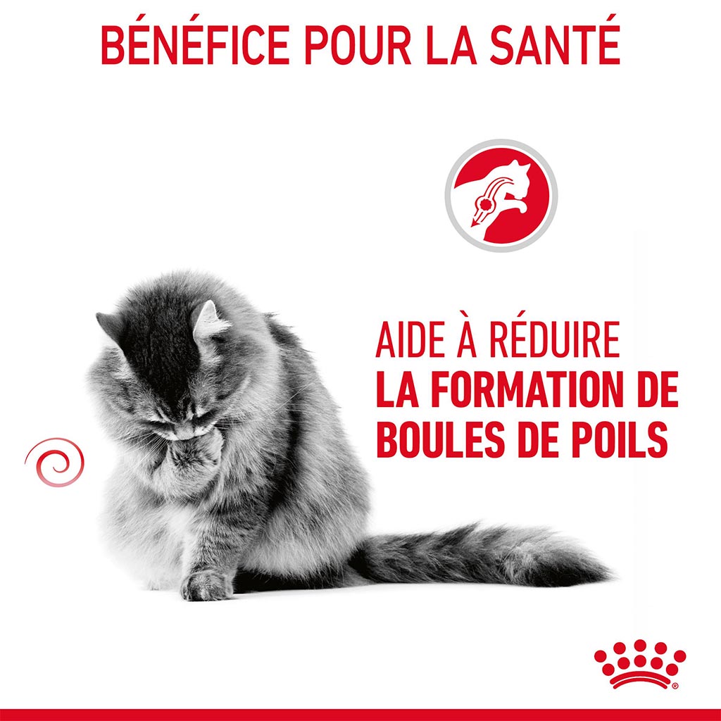 Variant image Croquettes Chat Adulte 'Hairball Care' ROYAL CANIN - 400g - 4/8/6/0/4860e540b44bec3e26b09defbb6eccccef42e31f_3182550721394__3_.jpg
