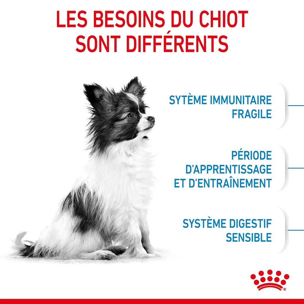Variant image Croquettes Chiot 2-10 mois X-small ROYAL CANIN - 1.5kg - 3/7/b/e/37bec168fa4f8f5d490f691a02ba799af861451a_3182550793612__3_.jpg