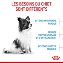 Variant image Croquettes Chiot 2-10 mois X-small ROYAL CANIN - 1.5kg - 3/7/b/e/37bec168fa4f8f5d490f691a02ba799af861451a_3182550793612__3_.jpg
