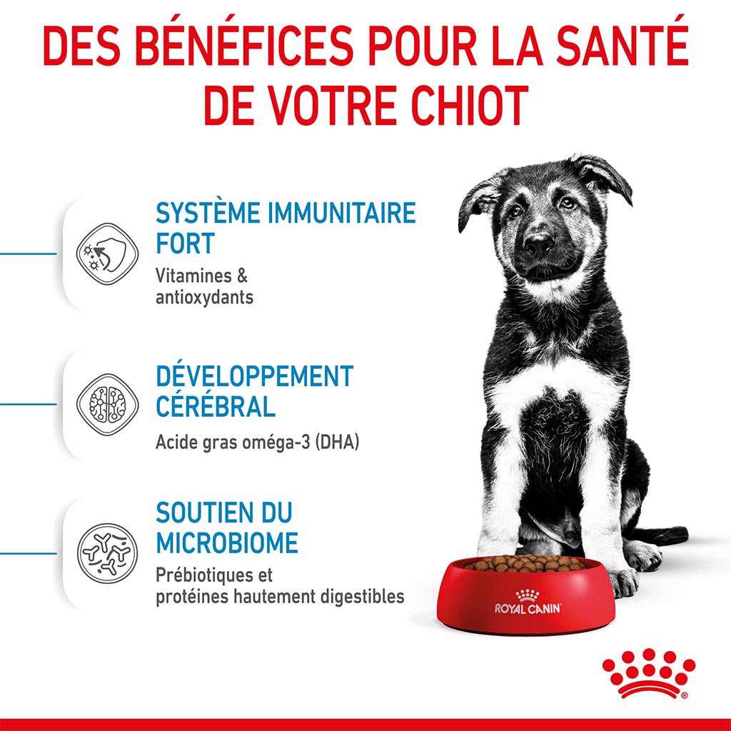 Variant image Croquettes Chiot maxi ROYAL CANIN - 4kg - 4/a/d/d/4add33afde84c24d943d1aeee61b58a178760025_3182550402149__3_.jpg