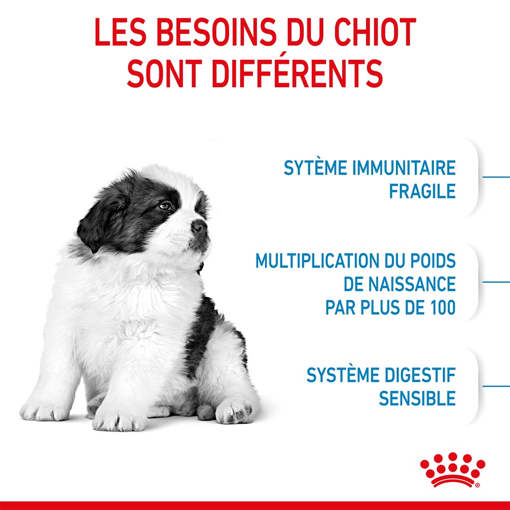 Variant image Croquettes Chiot 2-8 mois giant ROYAL CANIN - 15kg - 8/5/1/b/851b1a9cdd2cbe60268a5867b7e66ef4e57912d2_3182550707046__3_.jpg