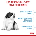 Variant image Croquettes Chiot 2-8 mois giant ROYAL CANIN - 15kg - 8/5/1/b/851b1a9cdd2cbe60268a5867b7e66ef4e57912d2_3182550707046__3_.jpg