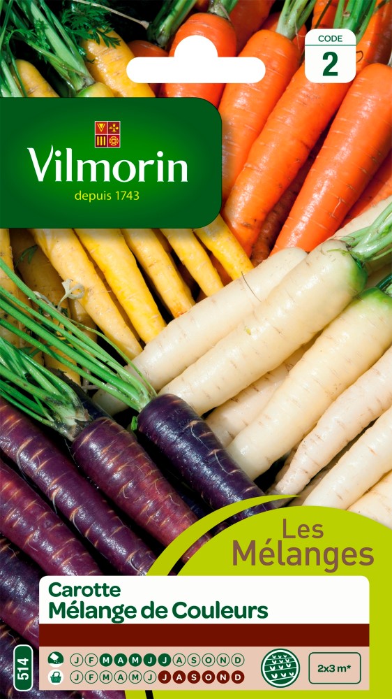 Graines de carotte mélange de couleurs VILMORIN