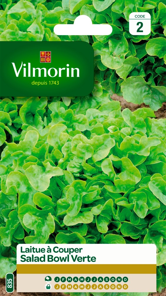 Graines de laitue à couper salad bowl verte VILMORIN