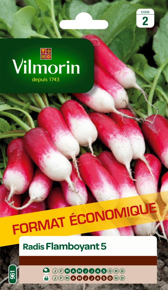 Graines de radis flamboyant 5 VILMORIN - Format éco
