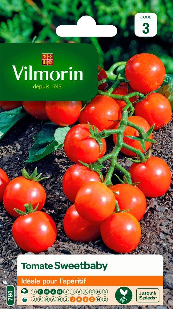 Graines de tomate sweetbaby VILMORIN