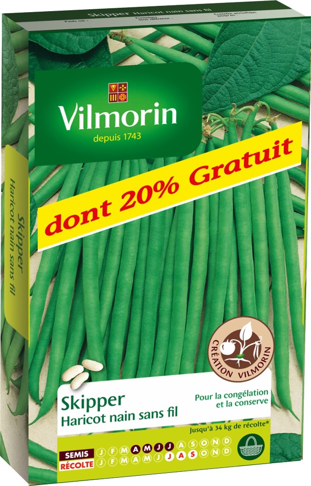 Graines d'haricot nain vert skipper VILMORIN + 20g gratuit