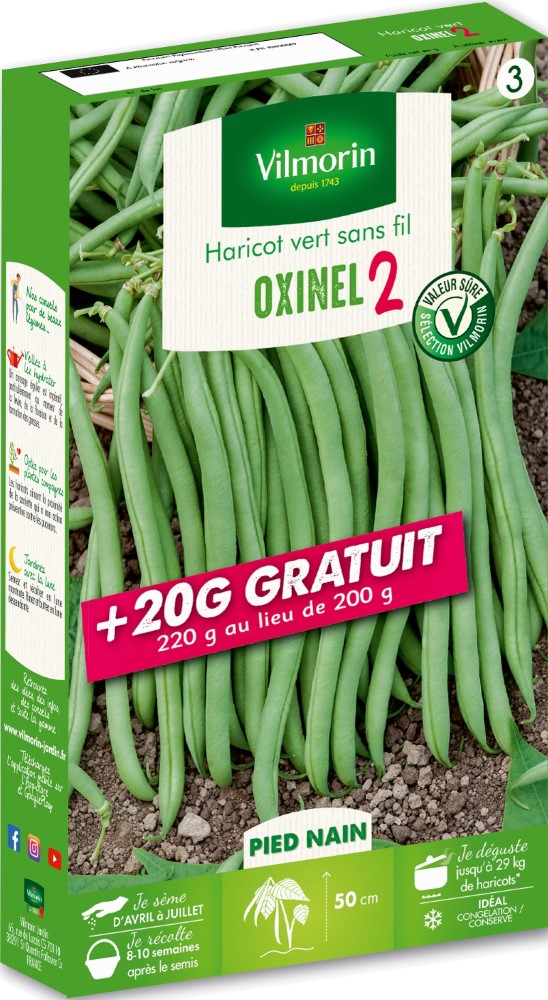Graines d'haricot nain vert oxinel 2 VILMORIN + 20g gratuit