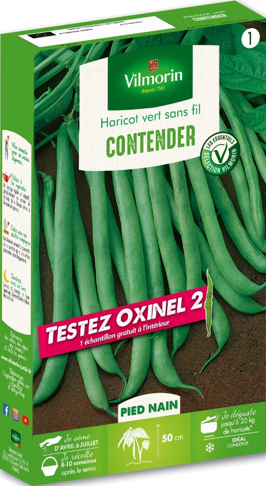 Graines d'haricot nain vert contender + échantillon oxinel 2 VILMORIN