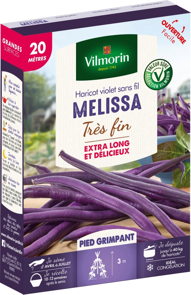 Graines d'haricot grimpant violet mélissa VILMORIN - 20m