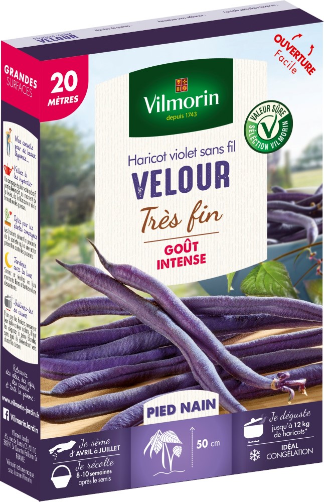 Graines d'haricot nain violet velour VILMORIN - 20m