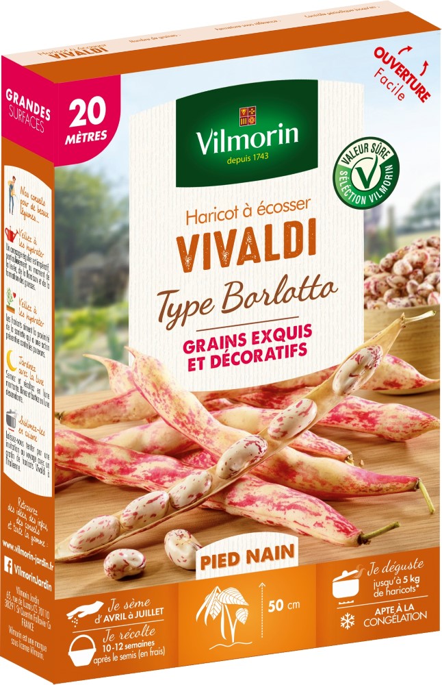 Graines d'haricot nain à écosser vivaldi (type borlotto) VILMORIN - 20m