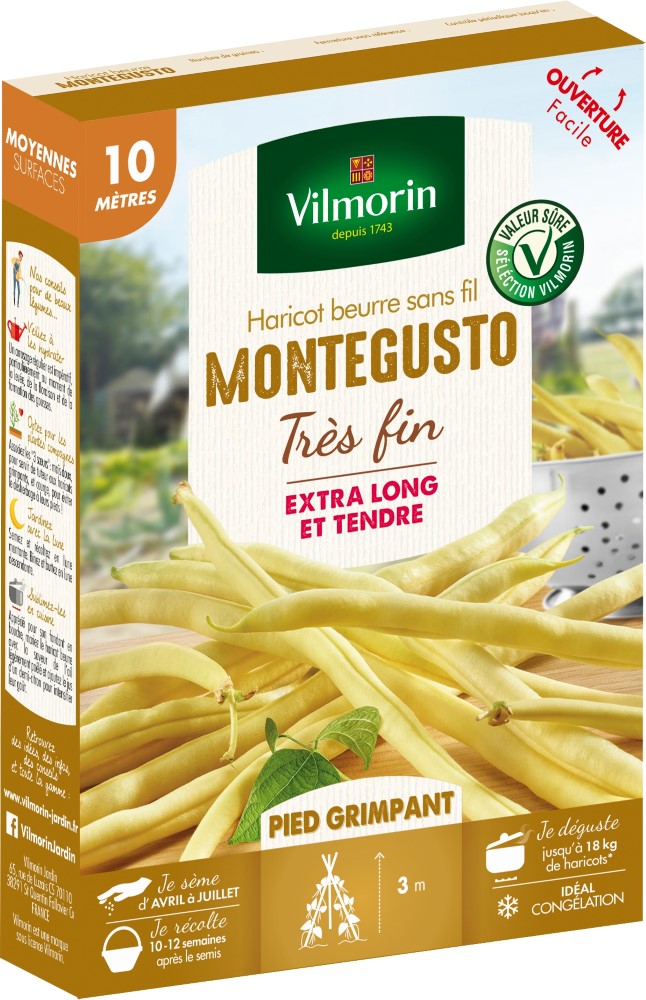 Graines d'haricot grimpant beurre monte gusto VILMORIN - 10m