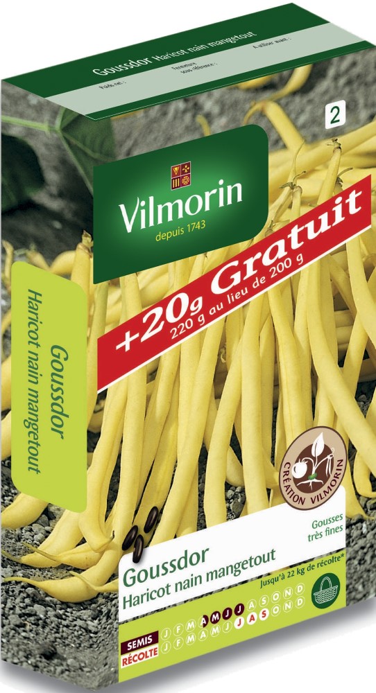 Graines d'haricot nain beurre goussdor VILMORIN + 20g gratuit