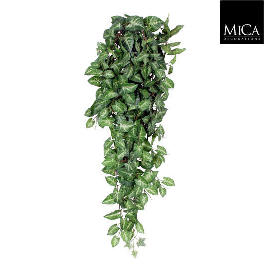 Fittonia chute vert - Plante artificielle MICA DÉCORATIONS