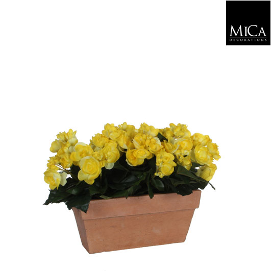Bégonia jaune en jardinière slate terra - Fleur artificielle MICA DÉCORATIONS