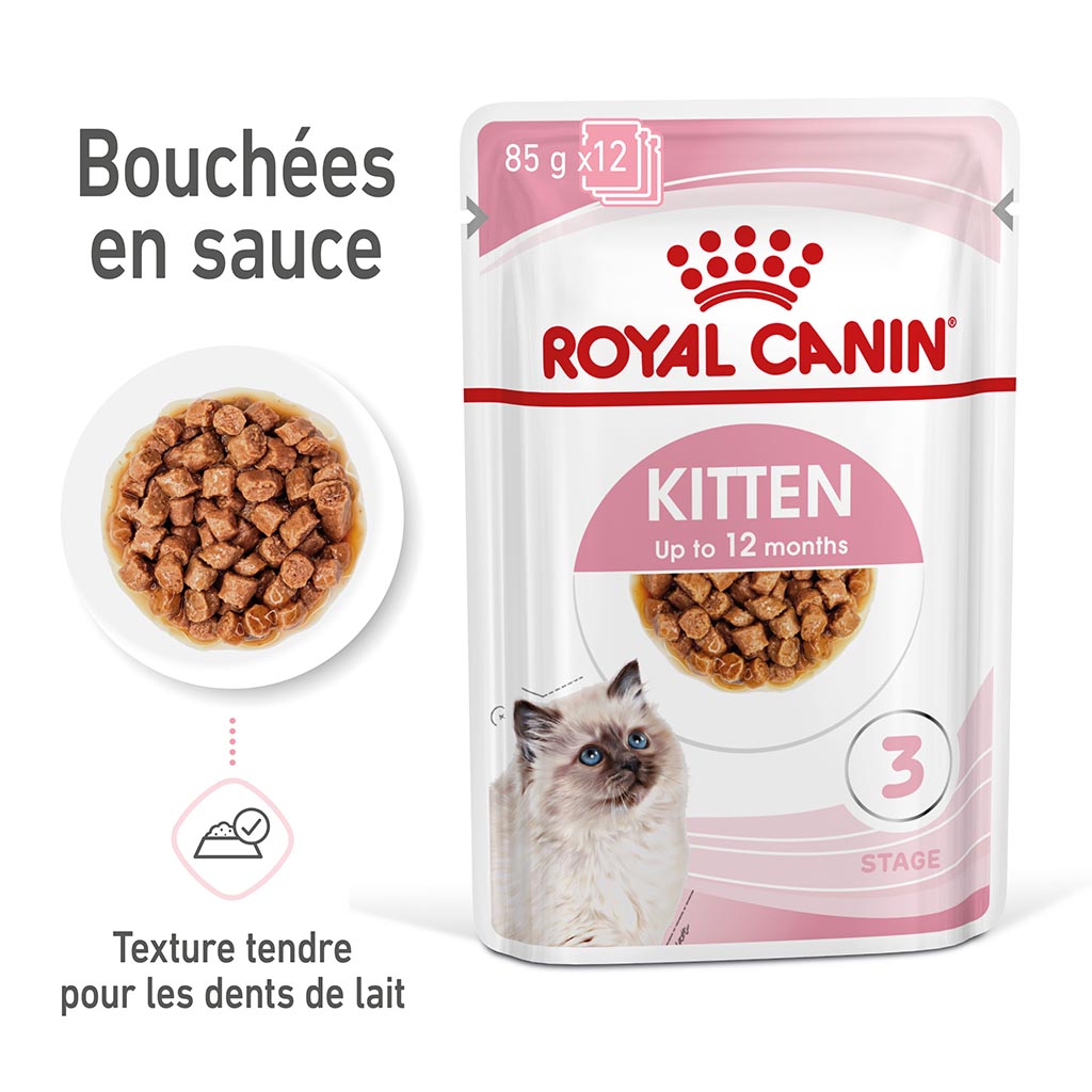 Bouchées en Sauce Chaton et Chatte Gestante ROYAL CANIN - 12x85g