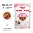 Bouchées en Sauce Chaton et Chatte Gestante ROYAL CANIN - 85g