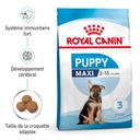 Croquettes Chiot maxi ROYAL CANIN - 4kg