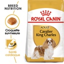 Croquettes Chien adulte Cavalier king charles ROYAL CANIN - 1.5kg
