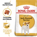 Croquettes Chien adulte Jack russell ROYAL CANIN - 1.5kg