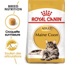 Croquettes pour Chat Adulte Maine coon ROYAL CANIN - 2kg