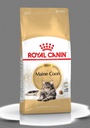 Croquettes pour chat adulte Maine coon ROYAL CANIN - 4kg