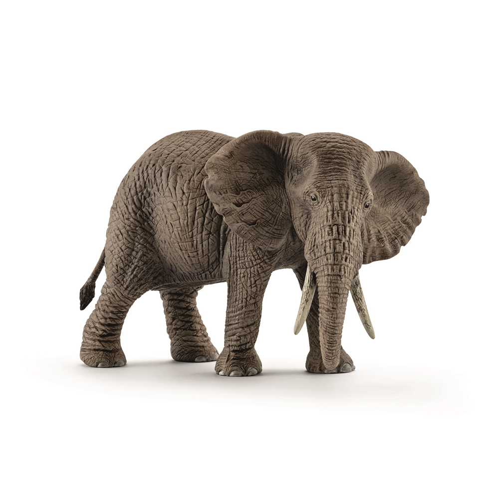 Figurine Eléphant d'Afrique femelle SCHLEICH