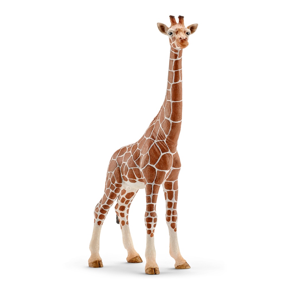 Girafe femelle SCHLEICH