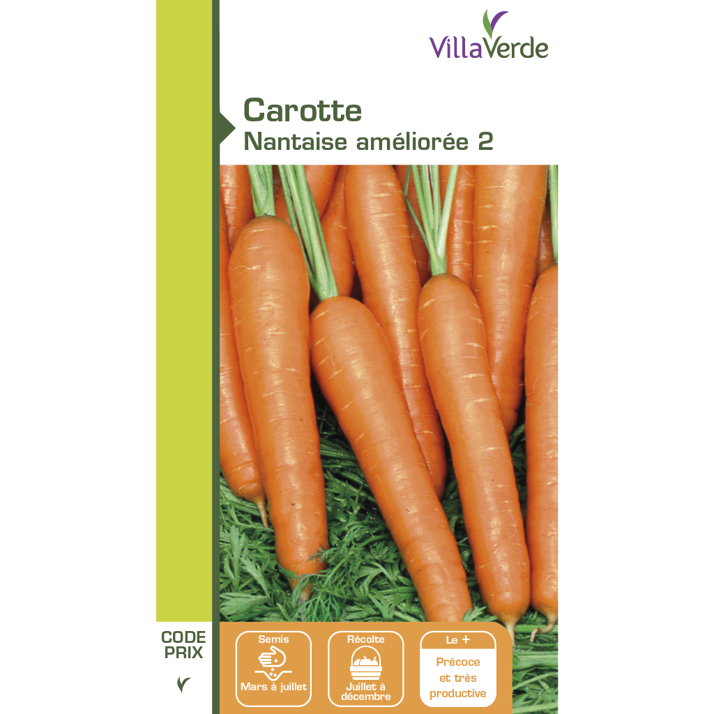 Graines de carotte nantaise améliorée 2 VILLAVERDE