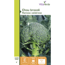 Chou brocoli vert calabrais