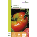 Graines de tomate supersteak hybride f1 VILLAVERDE