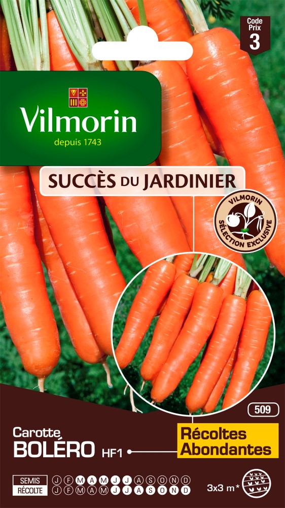 Graines de carotte boléro hf1 VILMORIN