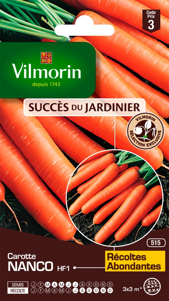 Graines de carotte nanco hf1 VILMORIN