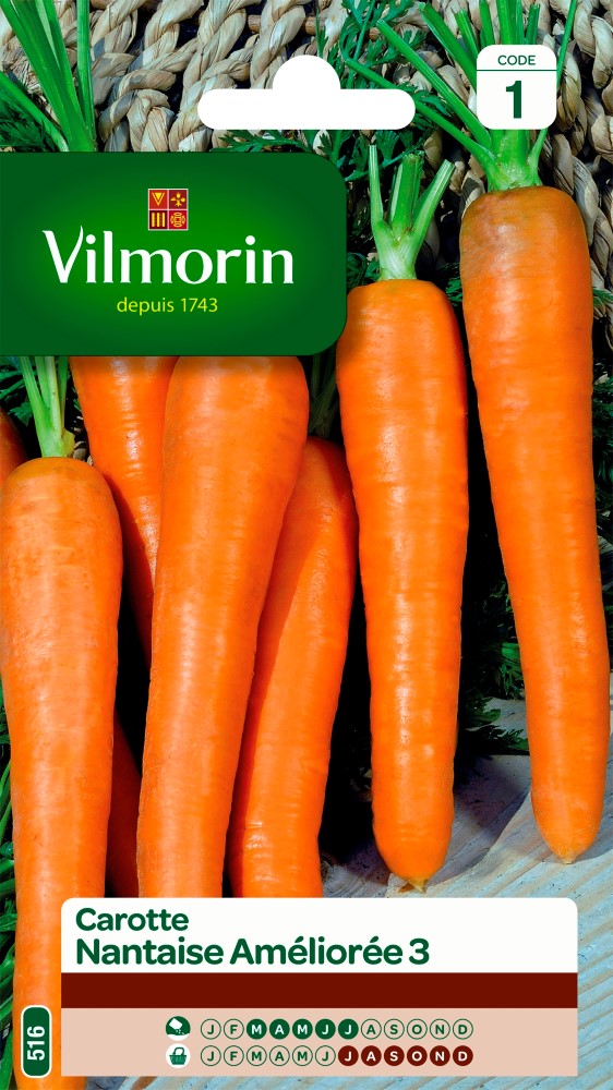 Graines de carotte nantaise améliorée 3 VILMORIN