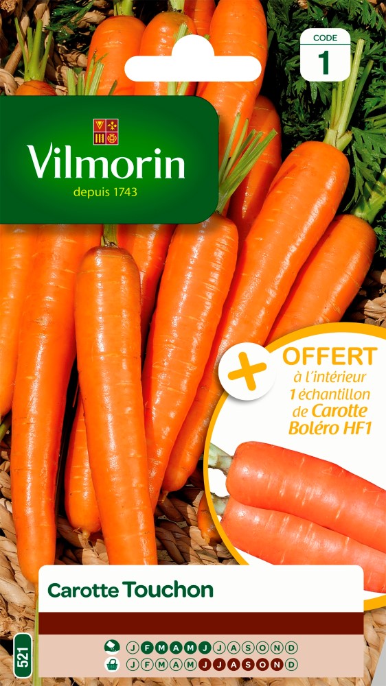 Graines de carotte touchon + échantillon boléro VILMORIN