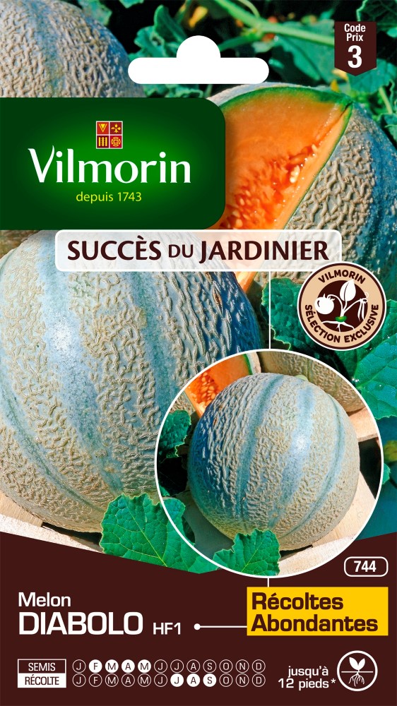 Graines de melon diabolo hf1 VILMORIN