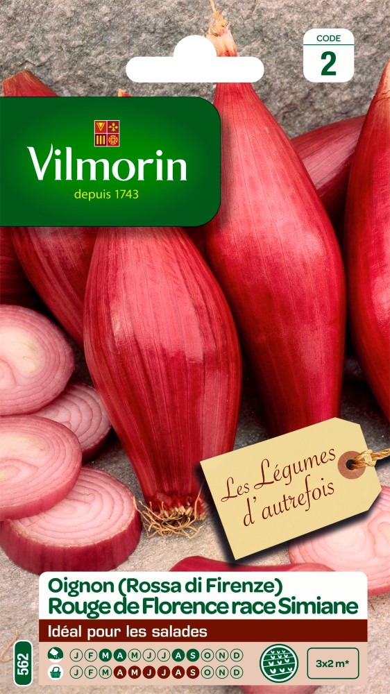 Graines d'oignon rossa di firenze (rouge long de florence simiane) VILMORIN