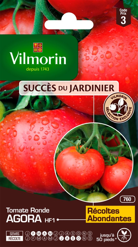 Graines de tomate agora hf1 VILMORIN