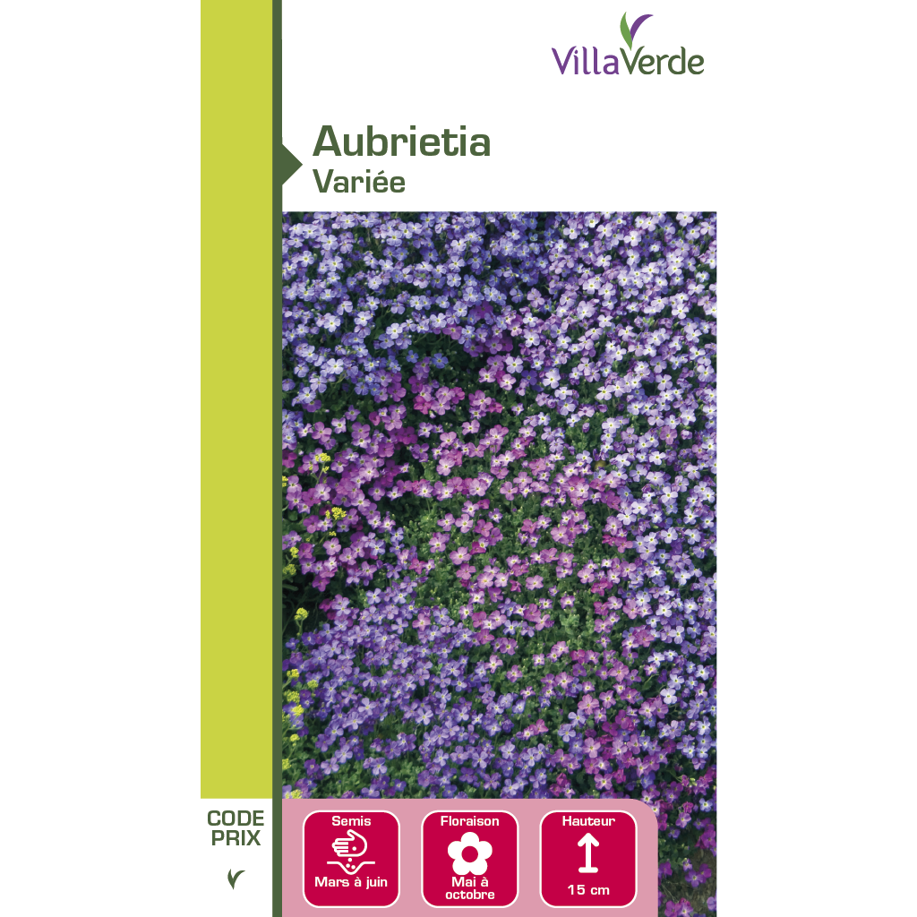 Graines de fleurs aubrietia variée VILLAVERDE
