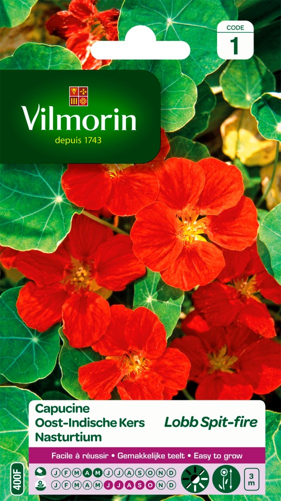 Graines de fleurs capucine de lobb spit-fire VILMORIN
