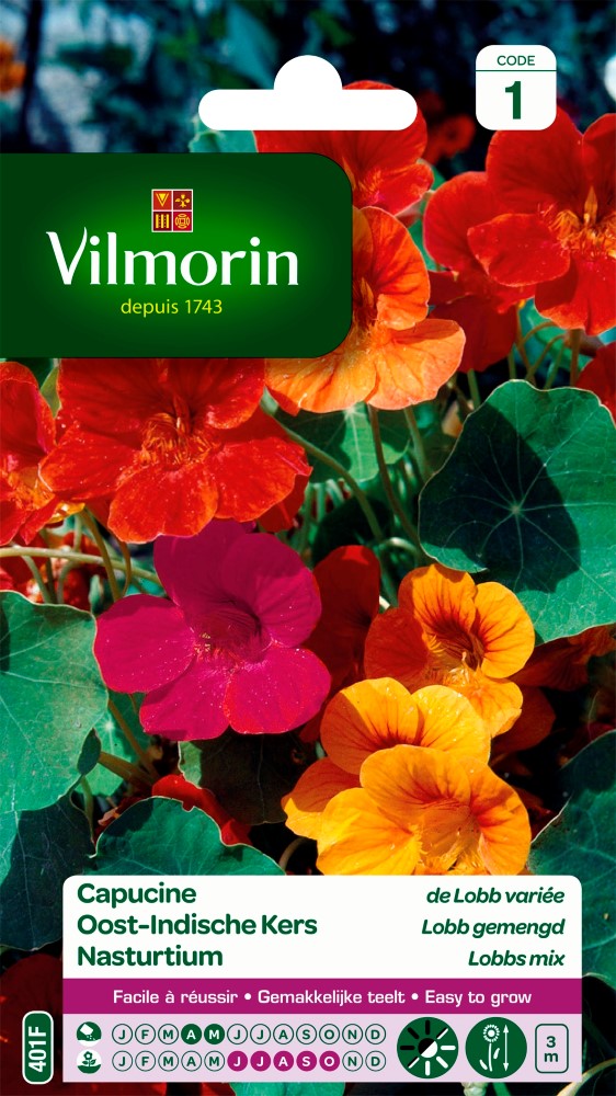 Graines de fleurs capucine de lobb variée VILMORIN