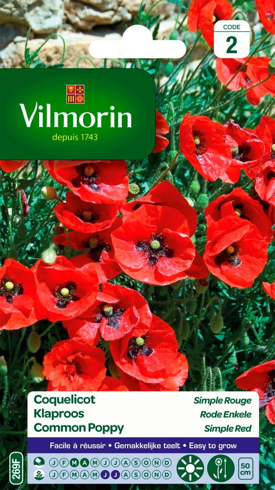 Graines de fleurs coquelicot simple rouge VILMORIN