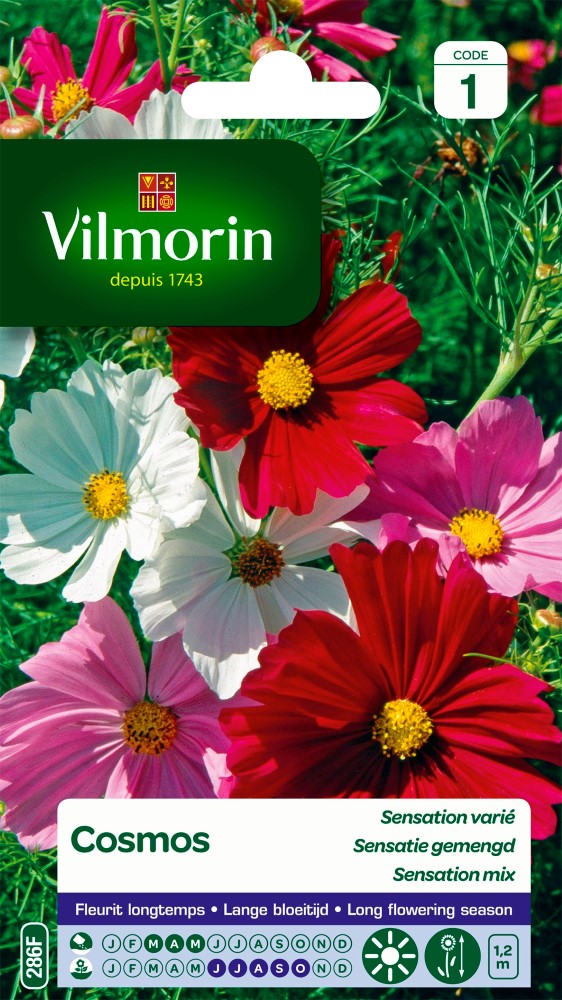 Graines de fleurs cosmos sensation varié VILMORIN